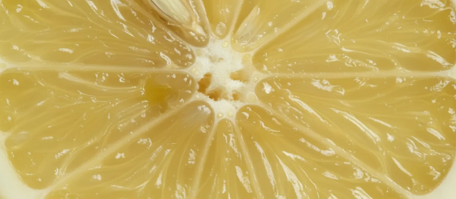 Macro close-up of a lemon's pulp and segments