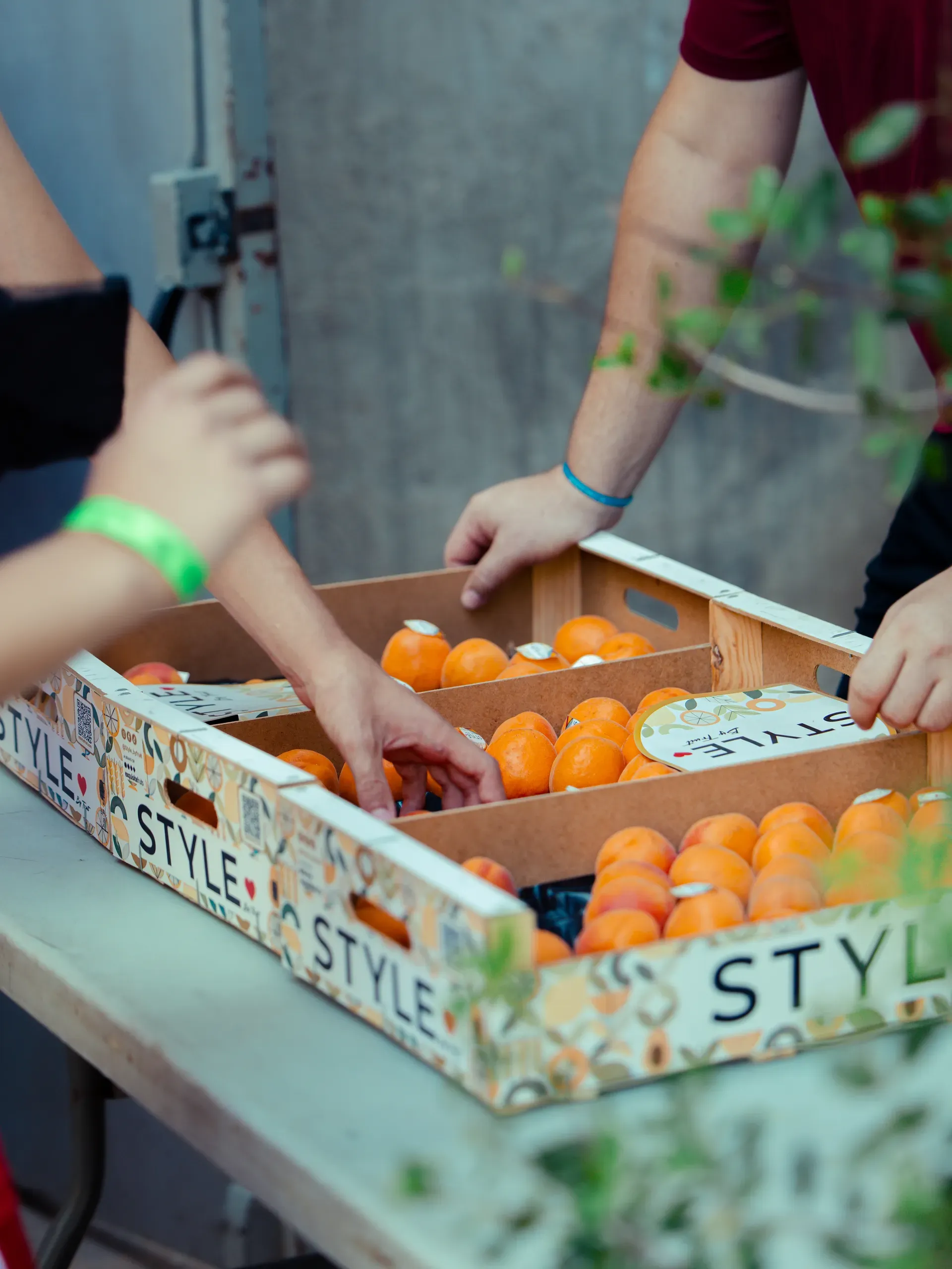 Young athletes taking Style by Fruit fruit from the box at the Pau Gasol Academy