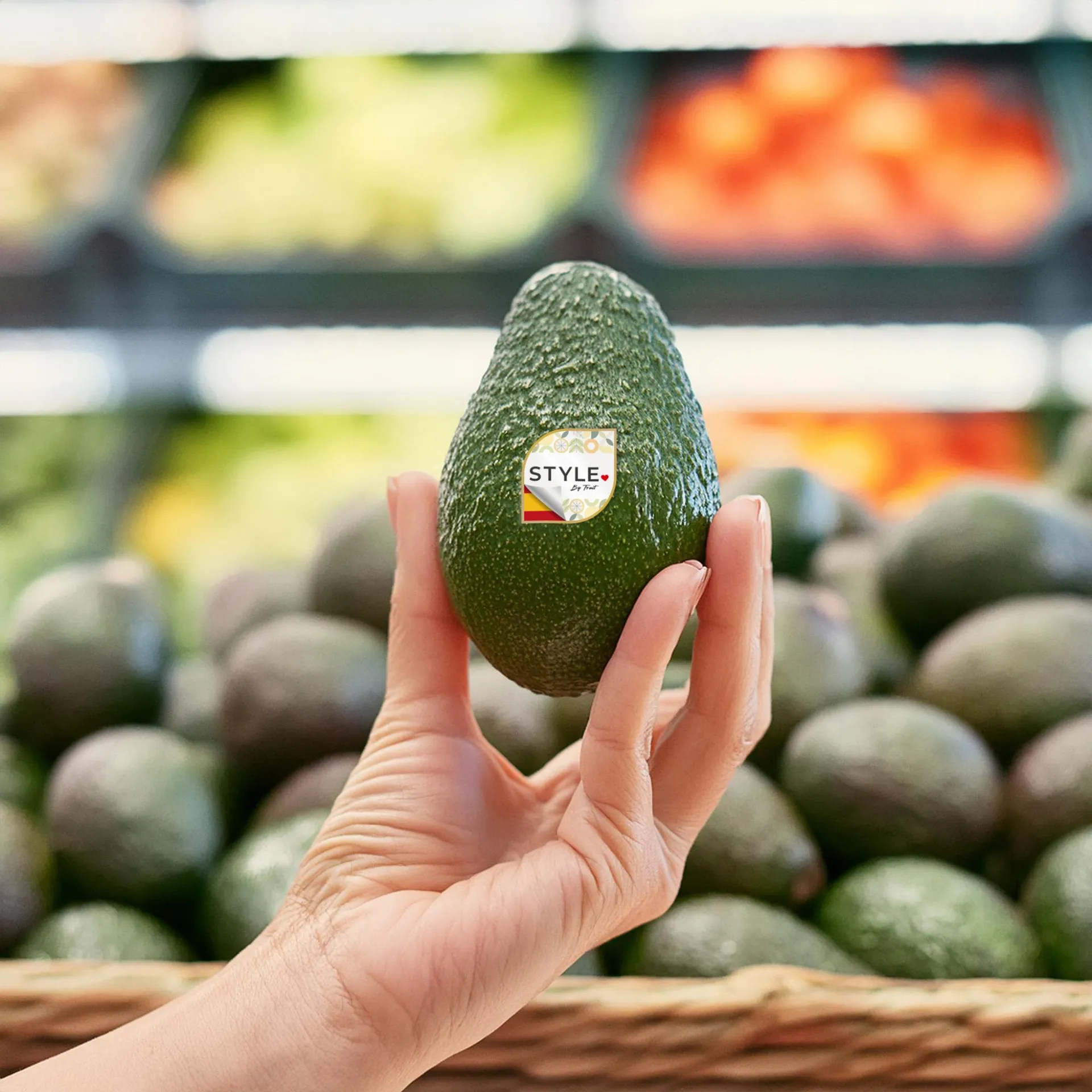 A Style by Fruit avocado with the brand sticker, held at the retail shelf